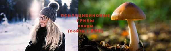 ГАЛЛЮЦИНОГЕННЫЕ ГРИБЫ Семикаракорск